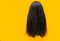 Damaged hair isolated on yellow background. Dry and brittle hair problem. Black long hair with dry texture. Asian woman with weak