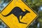 Damaged kangaroo warning sign