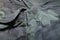 Damaged military uniform. Hole in camouflage fabric