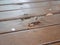 Damaged, rotten, area of outdoor wooden floor due to being exposed to rain and sunlight, has caused nail heads to come up