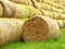 Damaged rotten wheat straw bundles, on green field