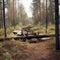 Damaged wooden bridge in the forest. Foggy weather, previously flooded, dry road between trees in autumn