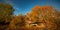 damaged wooden house in fall