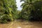 Damas Island Mangrove water canals