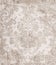 Damask pattern Vector. Vintage baroque ornament decor. Royal luxury texture backgrounds. Victorian sumptuous decoration