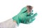 Dambo rat on the hands of a veterinarian on a white isolated background