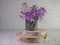 Dame\\\'s rocket flower placed in a rustic metal watering can on natural wood on subway tile