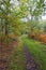 Damp autumn morning on a narrow woodland footpath