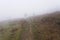 Damp foggy day on the slopes below Baslow Edge in the Hope Valley, Derbyshire.