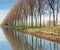 Damse vaart canal near Bruges