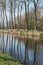 Damse Vaart flock of sheep in Belgium