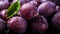 Damson Plum Background Top-View Pile & Active Lifestyle