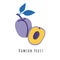 Damson plum fruit flat vector illustration