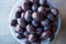 Damson Plums in Plastic Bowl.