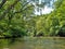 Dan River Calm Water Reflections