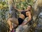 Dana Shemesh: Athletic Israeli Beauty Poses on a Tree