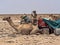 DANAKIL DEPRESSION,  ETHIOPIA, APRIL 29th.2019, The Afars are probably the toughest people in the world. In the Danakil depression