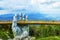 Danang, Vietnam - JUNE, 24, 2019: The Golden Bridge in the Bana Valley, supported by a giant hand This bridge is 1,400 meters