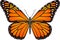 Danaus plexippus butterfly vector image