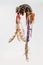 Dance rattle of the North American Indian horn with deer hooves and feathers