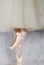 Dancer in ballet pointe