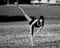 Dancer looking for balance in a field stubble.