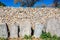 Dancers in Monte Alban