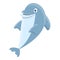 Dancing dolphin icon, cartoon style