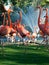 Dancing Flamingos