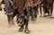 Dancing Hamer women in Lower Omo Valley, Ethiopia