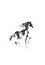 Dancing horse Japanese style original sumi-e ink painting.