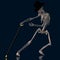 Dancing Skeleton #02