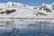 Danco Island in the Errera Channel - Antarctica