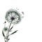 Dandelion blossom grey faded on white empty background - St Patrick\\\'s day summer banner