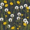 Dandelion botanical isolated illustration