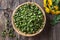 Dandelion buds collected to prepare false capers, top view