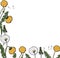 Dandelion drawing border. Vector floral frame. Wild botanical bloom. Great for tea packaging, label, icon, greeting ca