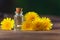 Dandelion essential oil in beautiful bottle on table