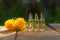 Dandelion essential oil in  beautiful bottle on table