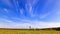 Dandelion field. Clouds blurred. Time Lapse. 4K