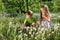 Dandelion field white girl boy happy little baby green meadow yellow flowers dandelions nature park garden two family sister broth