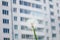 Dandelion flower against high-rise apartment building