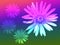 Dandelion flower rainbow background