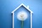 Dandelion flower under the roof of the house, insurance concept, blue background