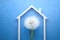 Dandelion flower under the roof of the house, safety concept, blue background