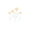 dandelion flowers. Element of flower for mobile concept and web apps. Colored dandelion flowers can be used for web and mobile