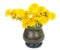 Dandelion flowers in glass vase