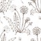 Dandelion flowers wildflowers graphic vector hand-drawn illustration. Print textile vintage