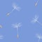 Dandelion fluff on blue seamless pattern. Card with blowball seeds for cover or wrapper. Textile design texture. Nature