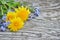 Dandelion and forget-me on a wooden background